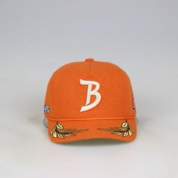 Customized 3D embroidery logo wool baseball cap with rope