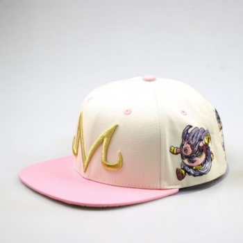Embroidery logo contrast color cotton snapoback hat