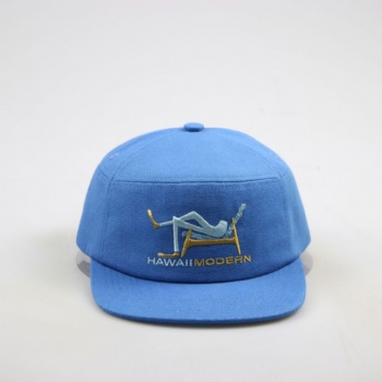 Customized 10 panel cotton snapback hat embroidery logo